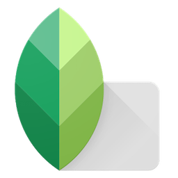 Green leaf mac app icon png